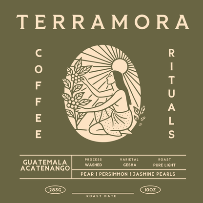Guatemala - Acatenango Gesha